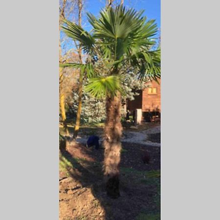 Fuveau L'Escapade. Entre Aix Et Marseille, Studio Pleine Nature. מראה חיצוני תמונה