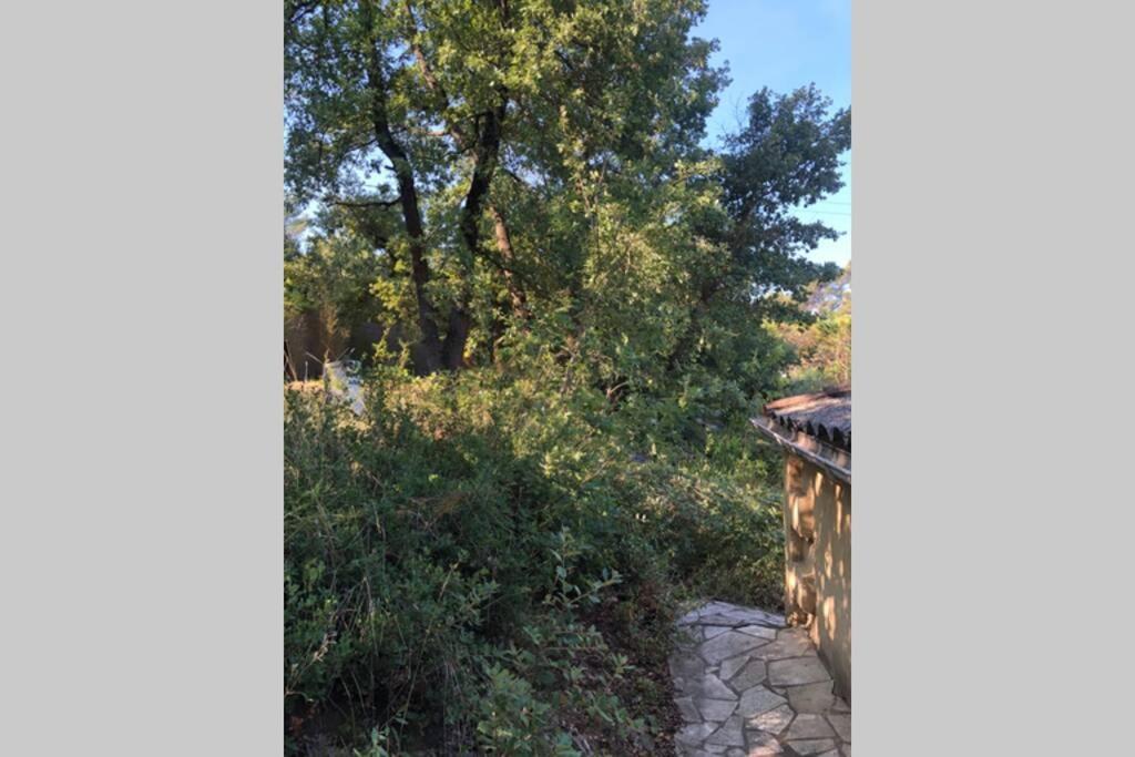 Fuveau L'Escapade. Entre Aix Et Marseille, Studio Pleine Nature. מראה חיצוני תמונה